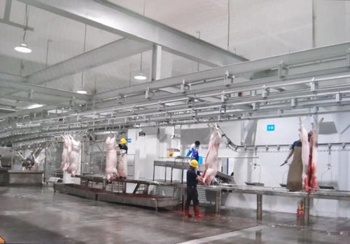 民生实事喜结硕果 区肉联厂迁建项目一期工程竣工验收并投入运营